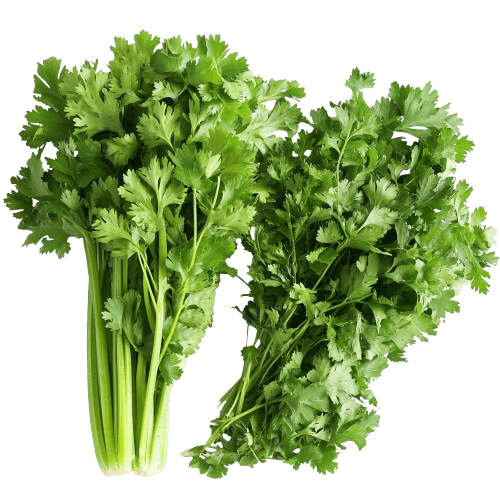 Fresh Herbs and Cresses