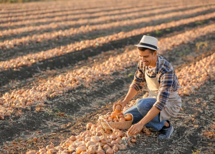 Chef's Choice farm and sustainability