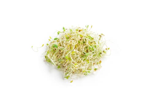 ALFALFA SPROUTS