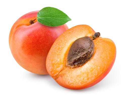 APRICOT FRESH
