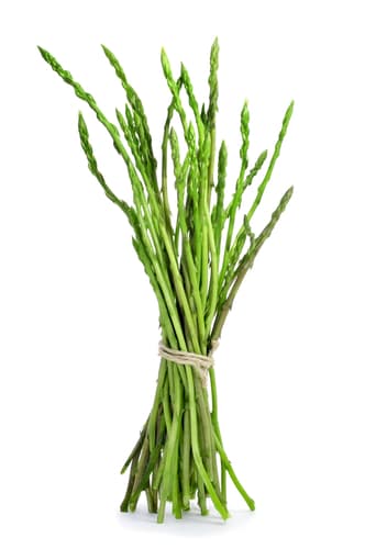 ASPARAGUS WILD
