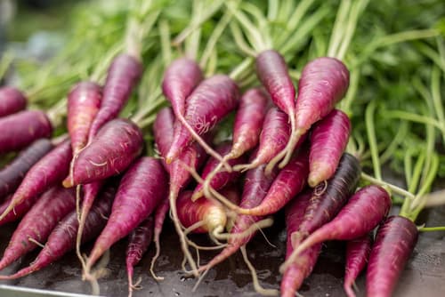 CARROT BABY PURPLE BUNCH