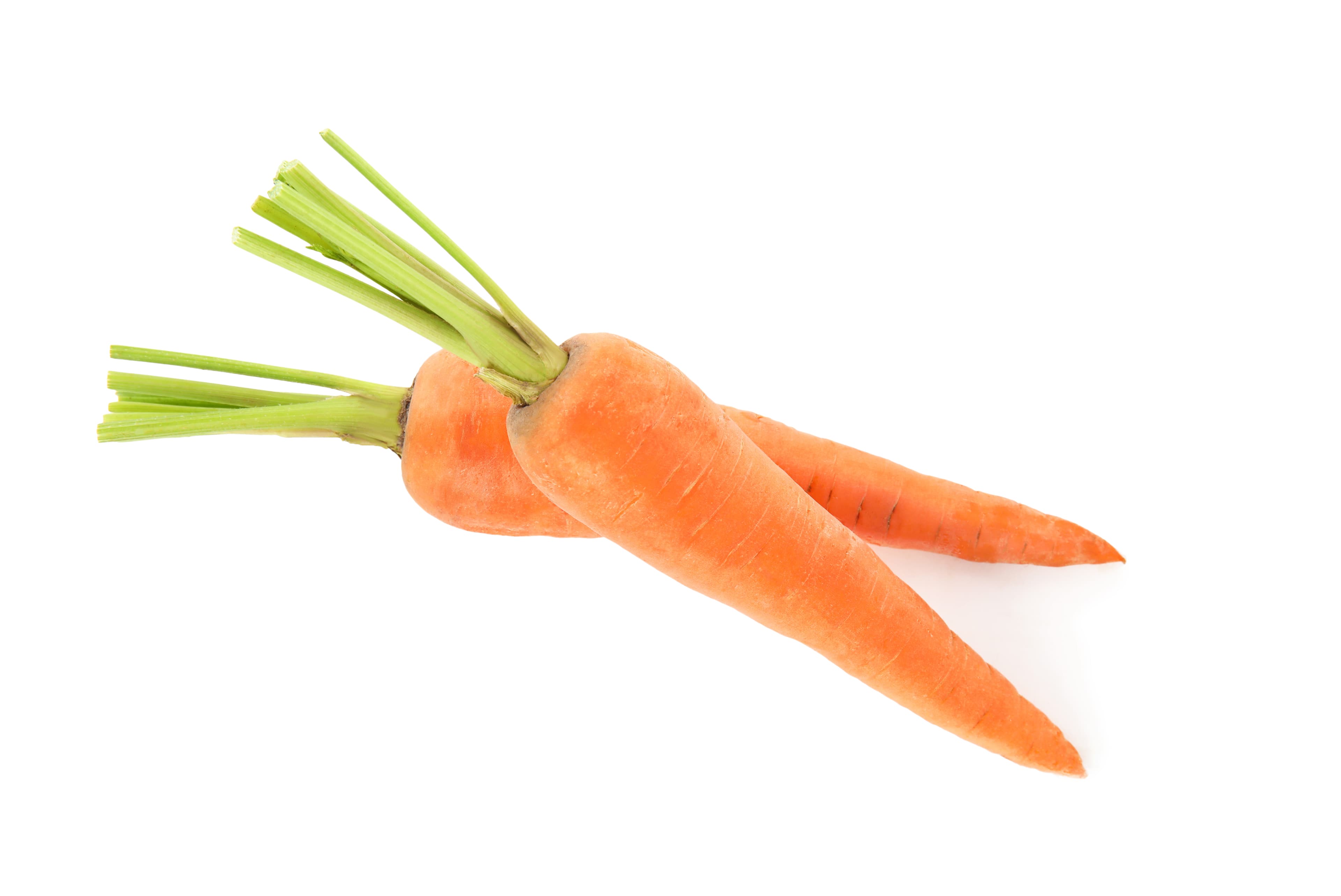 CARROTS BABY FRENCH (POLY)