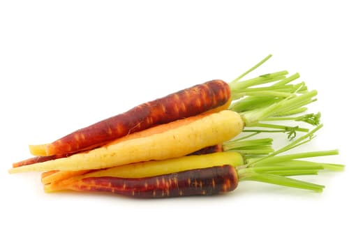 CARROTS BABY HERITAGE YUKON