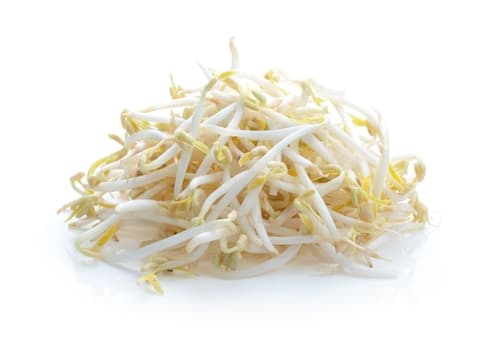 BEAN SPROUT X4KG