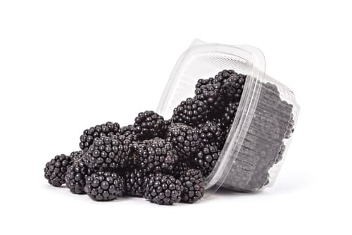 BLACKBERRY PUNNET X125G