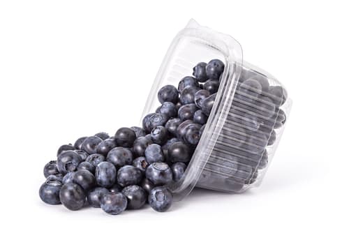 BLUEBERRY PUNNET X125G