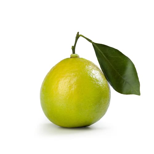 BERGAMOT ITALIAN