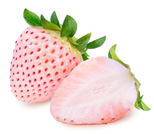 PINEBERRIES (WHITE STRAWBERRIES)