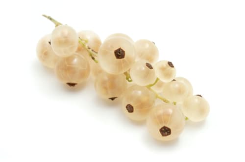 WHITE CURRANT PUNNET X125G