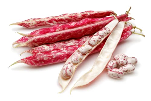 BEANS BORLOTTI