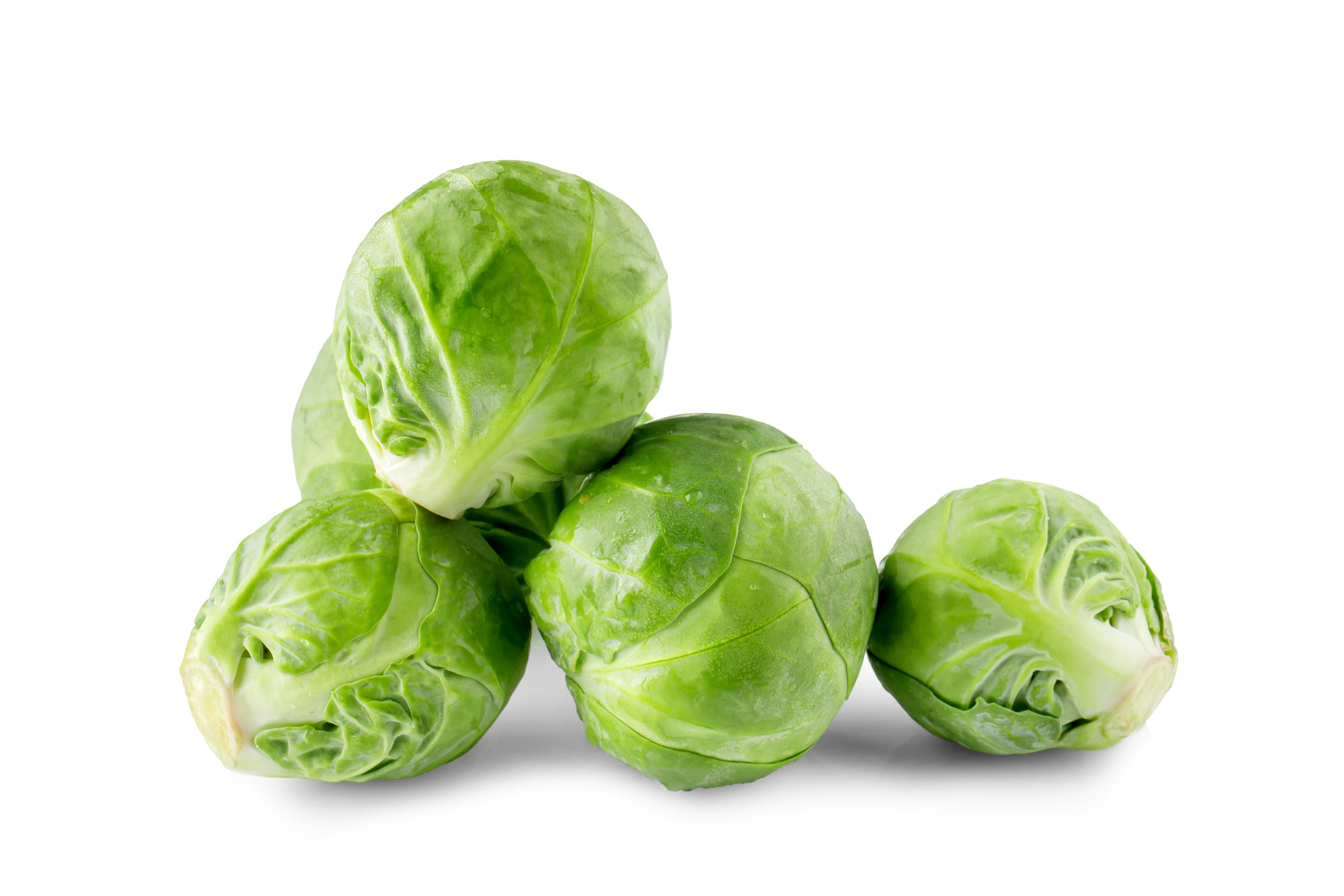 BRUSSEL SPROUTS