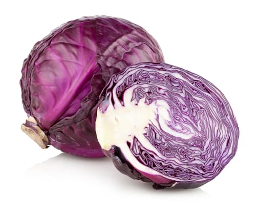 CABBAGE RED