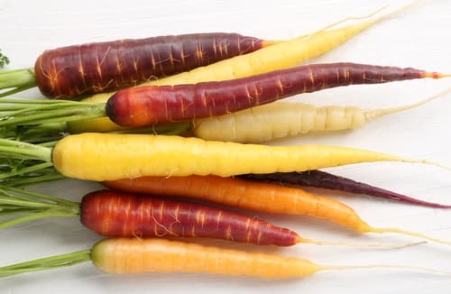 CARROTS HERITAGE