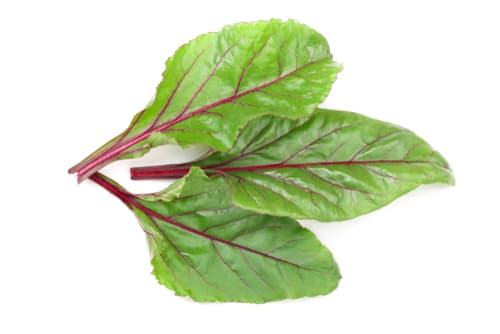 RED CHARD