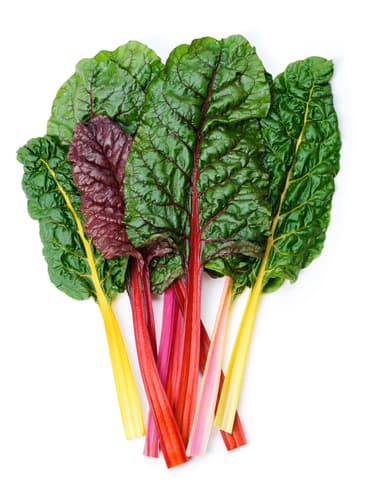 RAINBOW CHARD