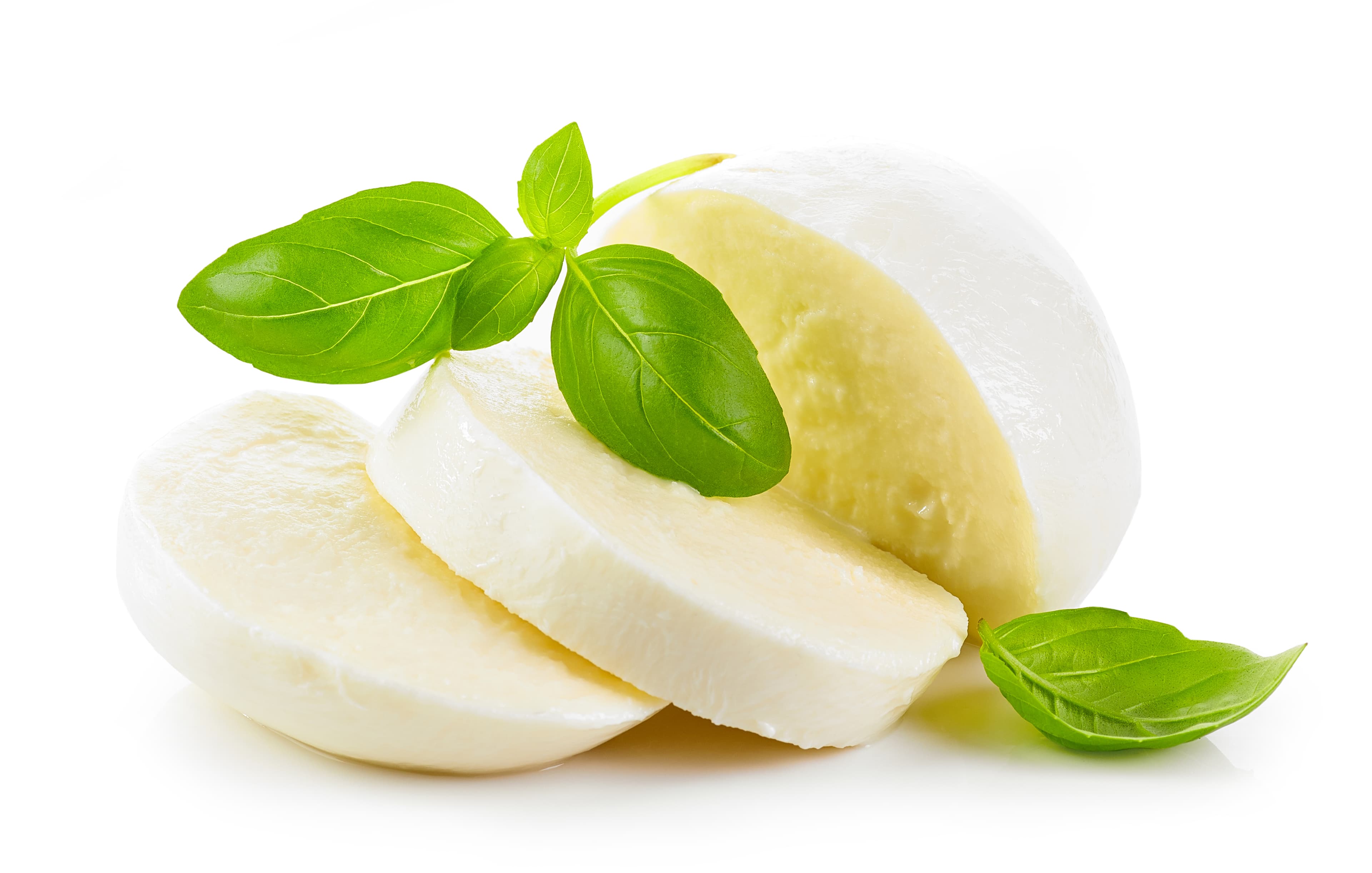 CHEESE MOZZARELLA