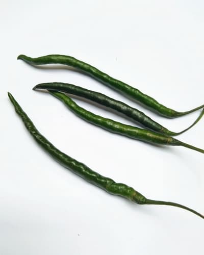CHILLIES GREEN INDIAN