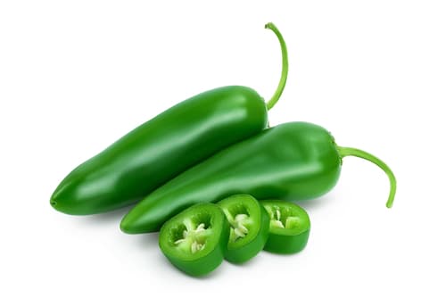 CHILLI GREEN SNUB