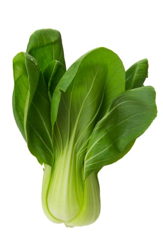 BOKCHOI