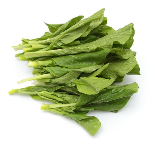 CHOI SUM