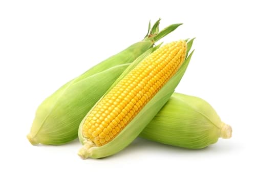 CORN SWEET HUSK