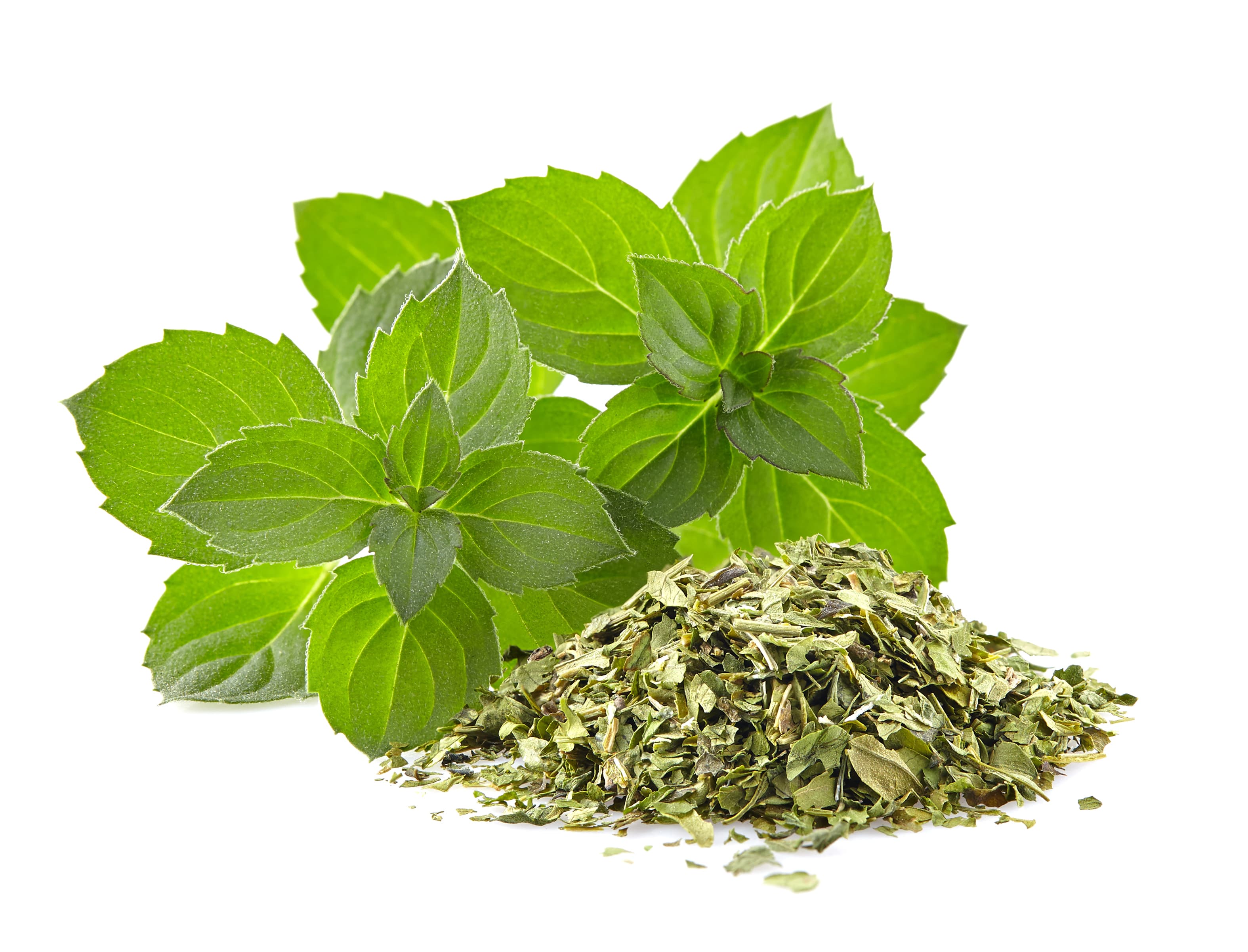 DRIED MINT