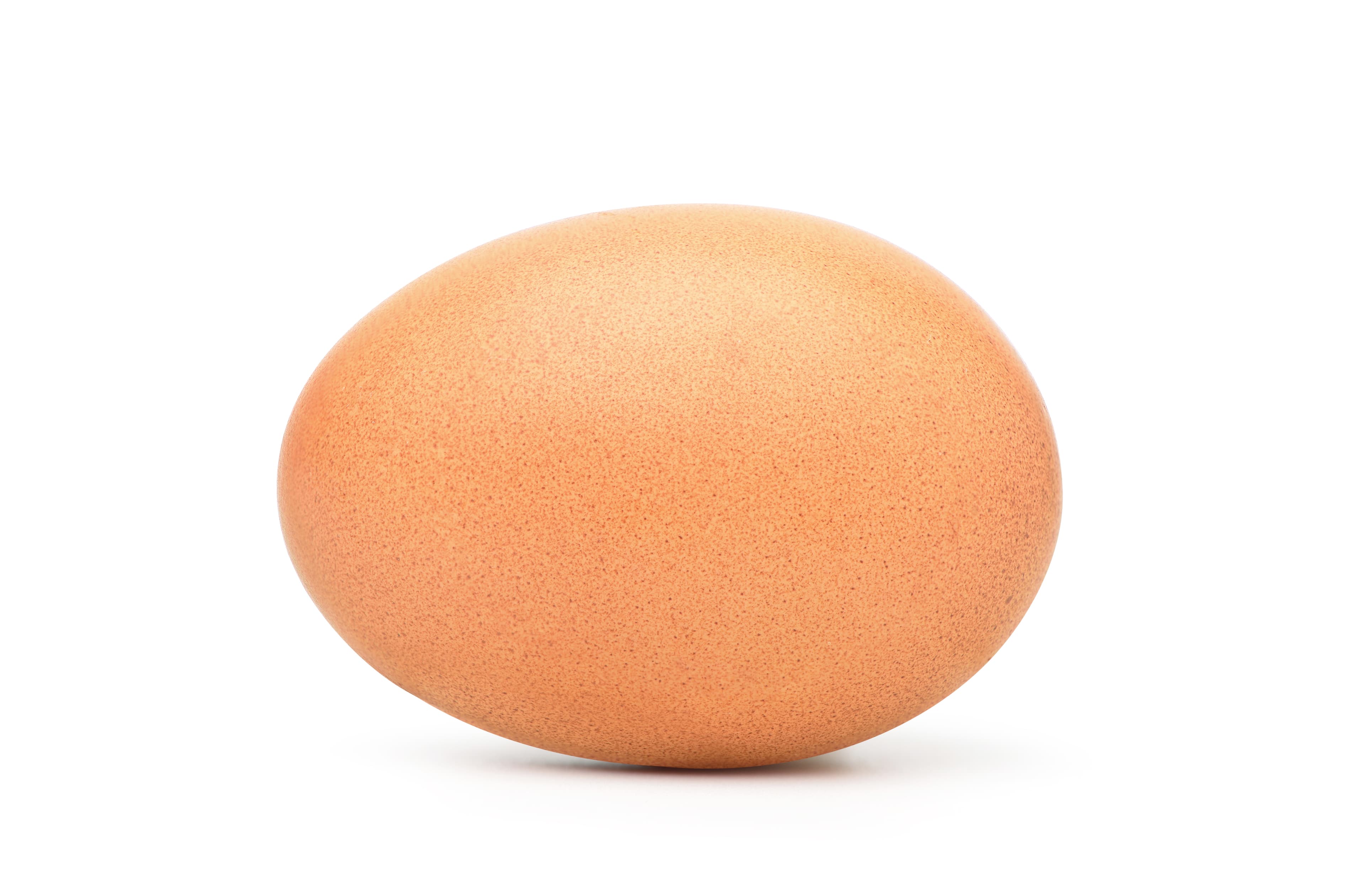 EGGS (LARGE) FREE RANGE X15DZN (ALLERGEN)