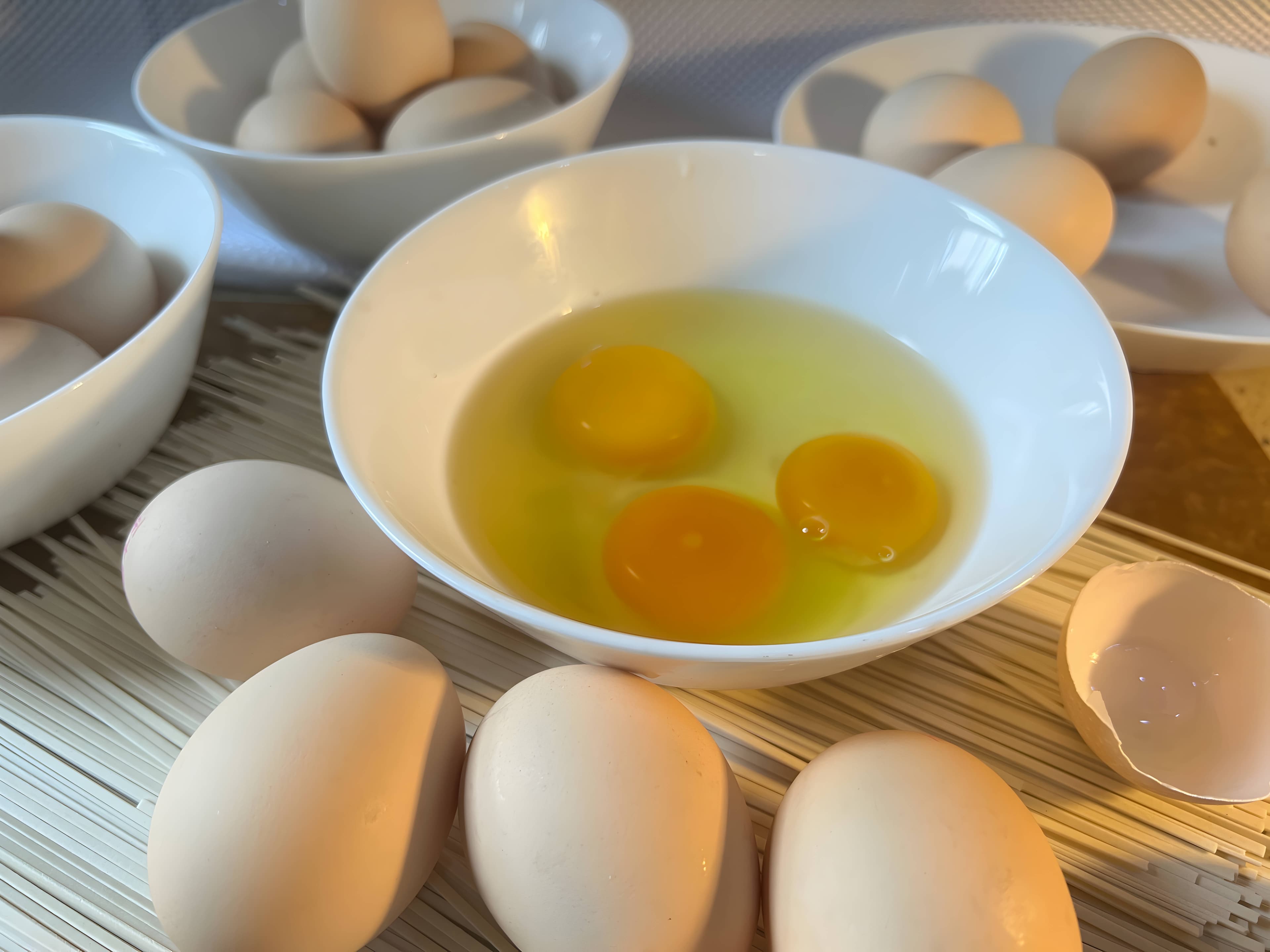 EGGWHOLE LIQUID FREE RANGE X10L