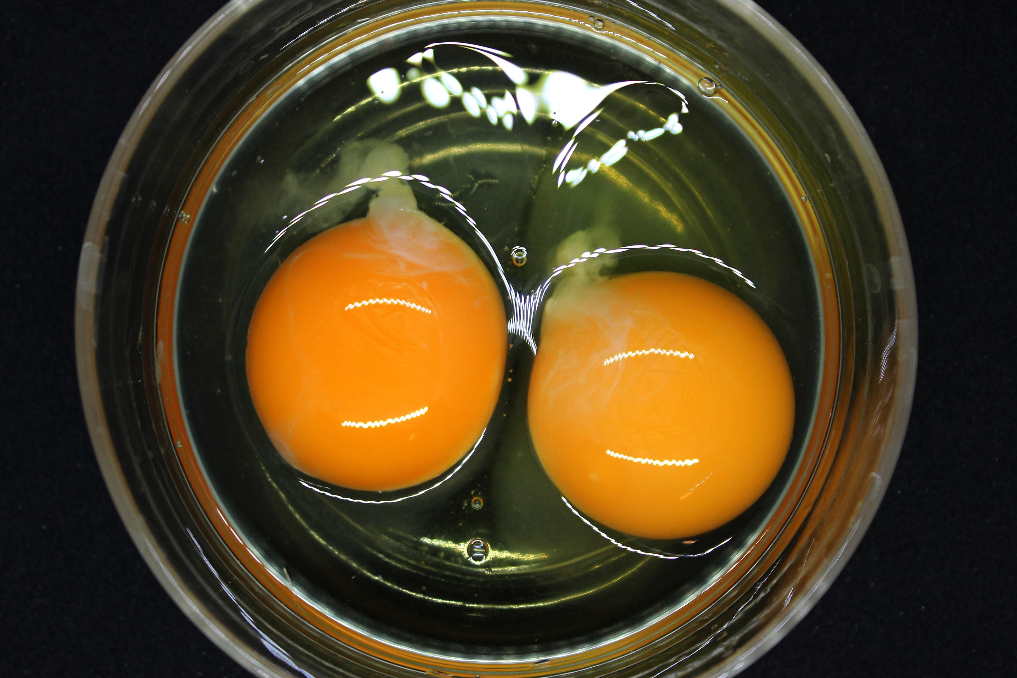 EGG WHOLE (ALLERGEN) X1L