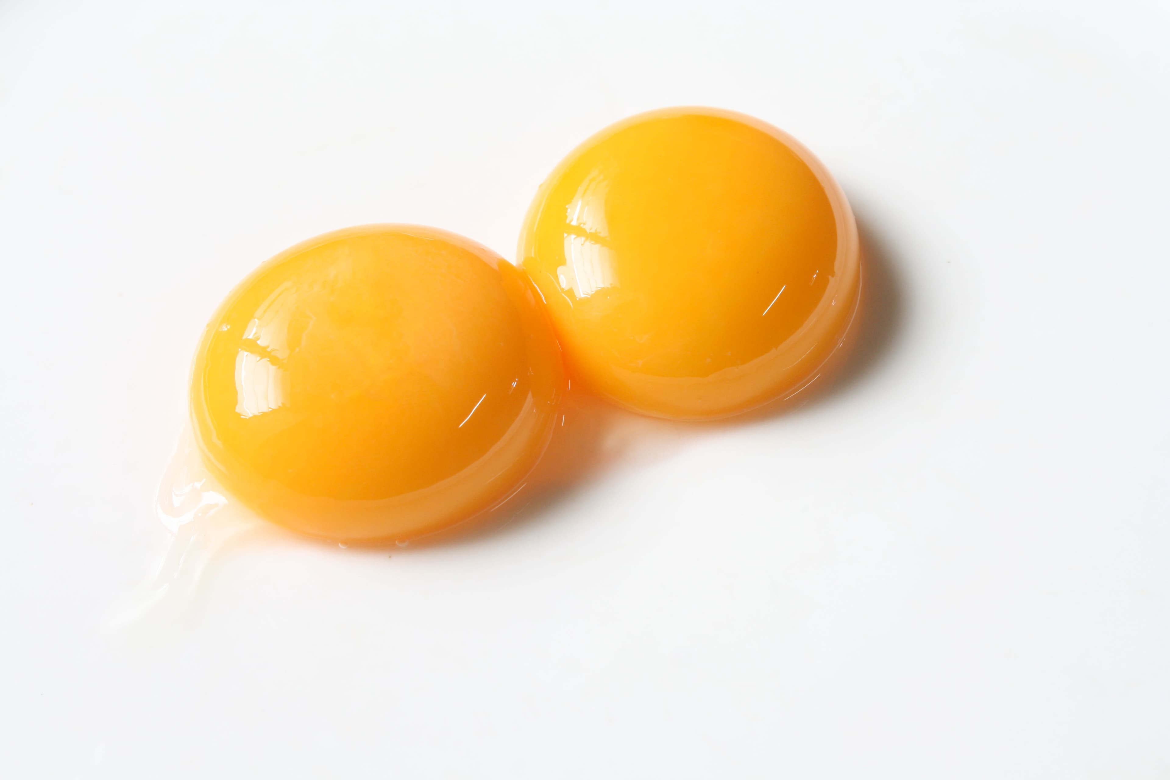 EGG YOLK (ALLERGEN) X1L