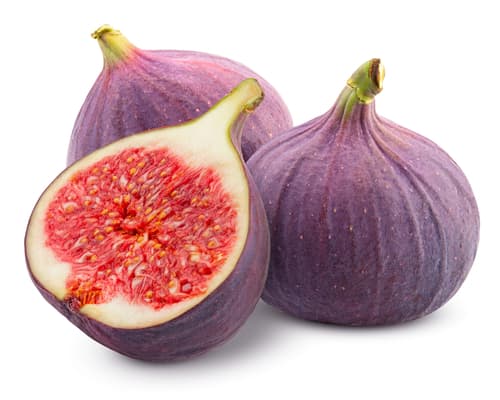 FIGS