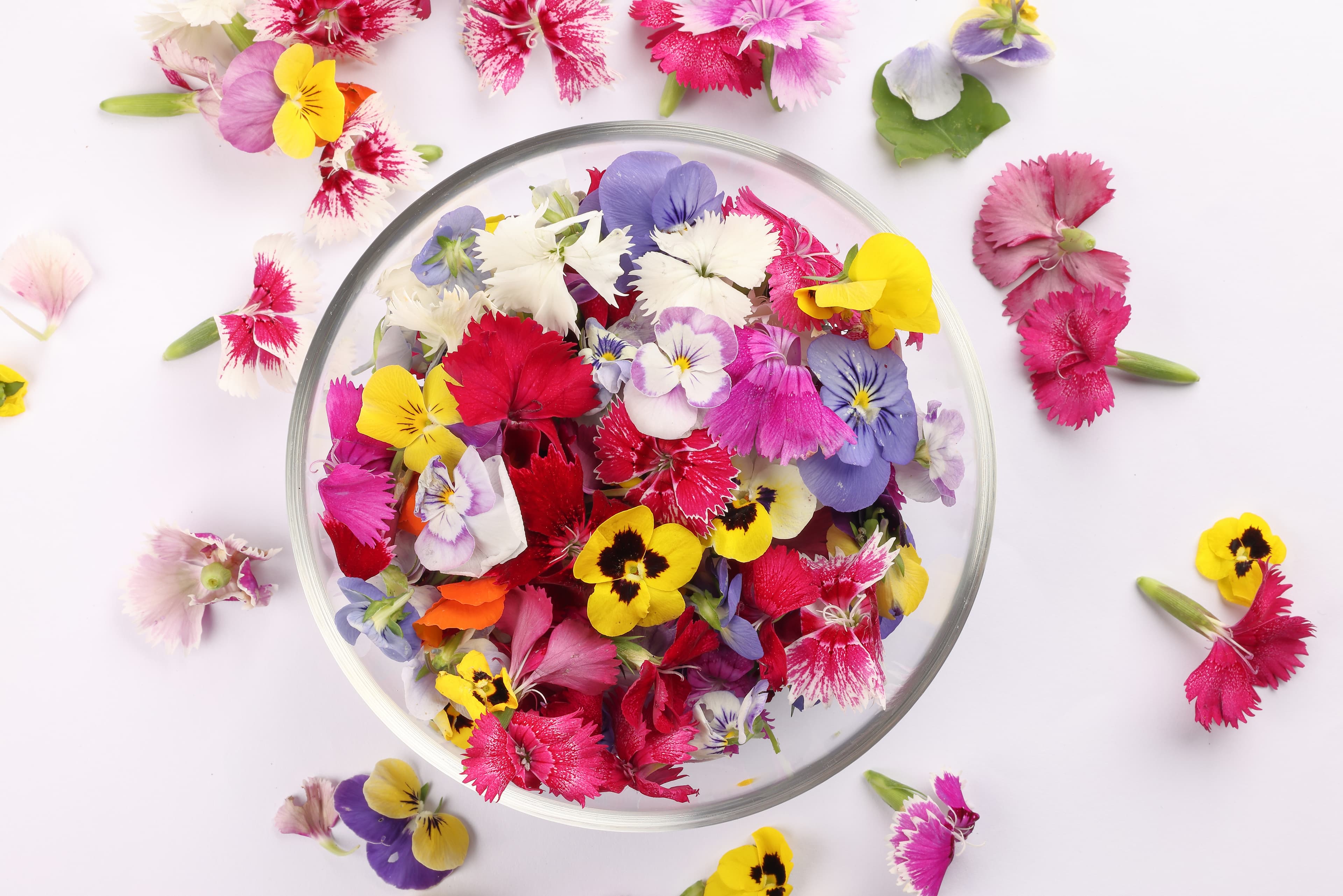 FLOWER MIXED PREMIUM