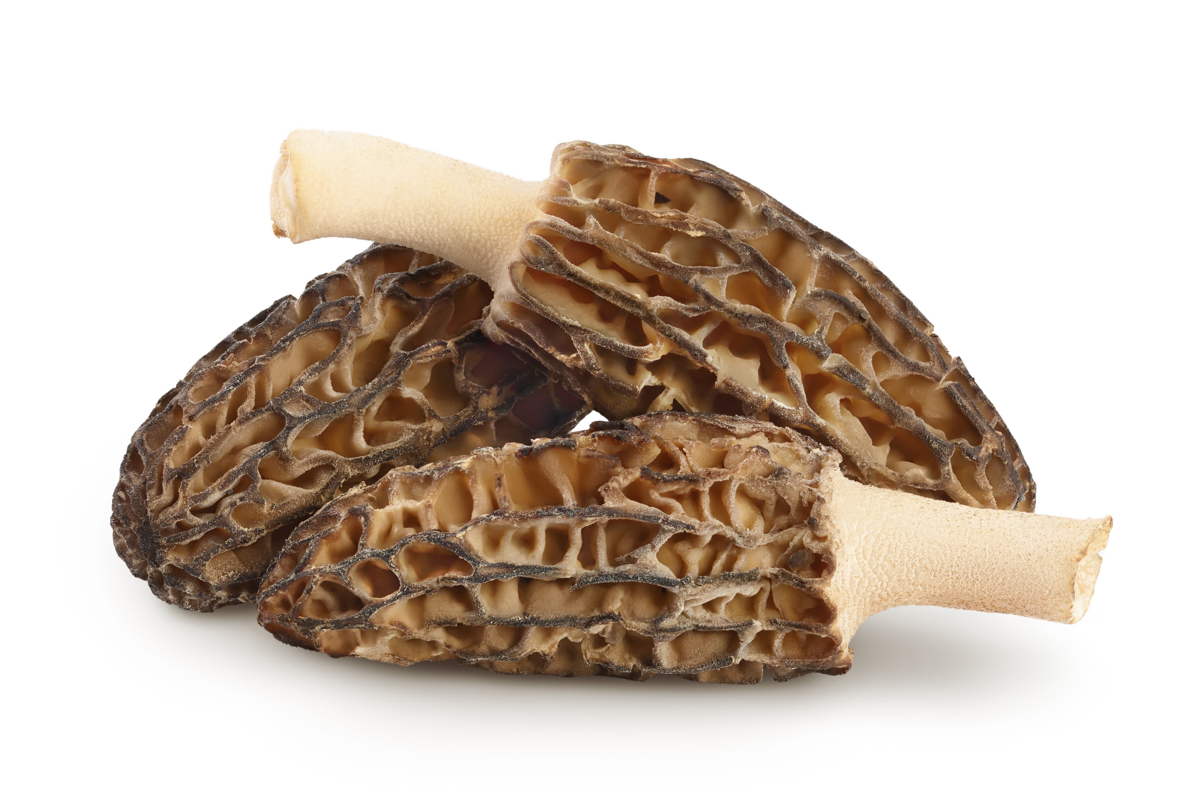 FROZEN MOREL X1KG