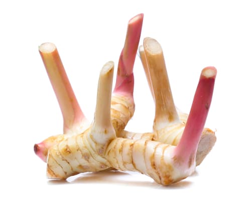 GALANGAL