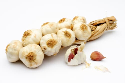 GARLIC STRING