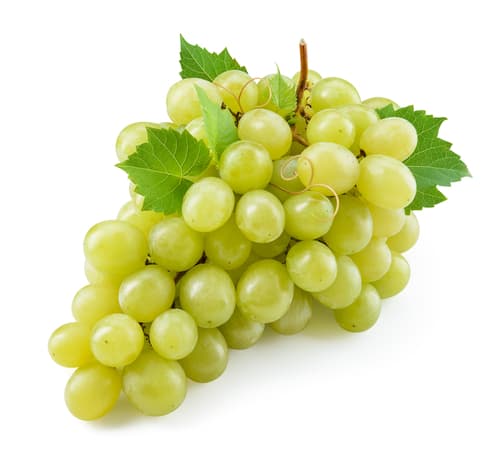 GRAPES GREEN