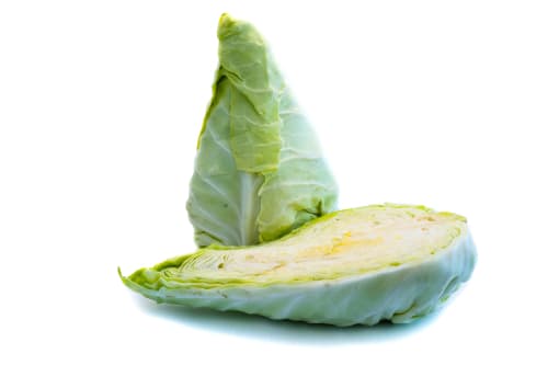 CABBAGE HISPI