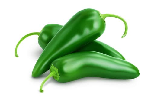 CHILLIES JALAPENO