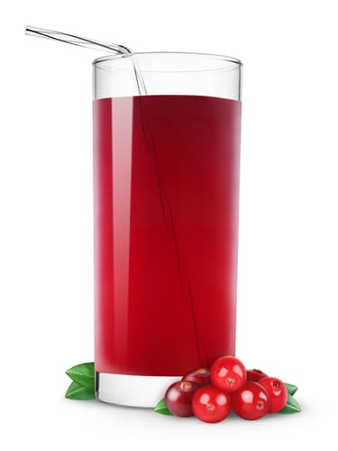 CRANBERRY JUICE
UHT 12x1L