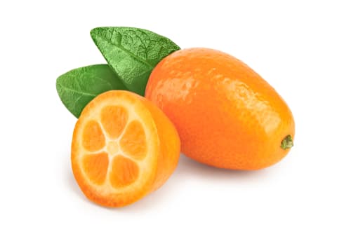 KUMQUAT