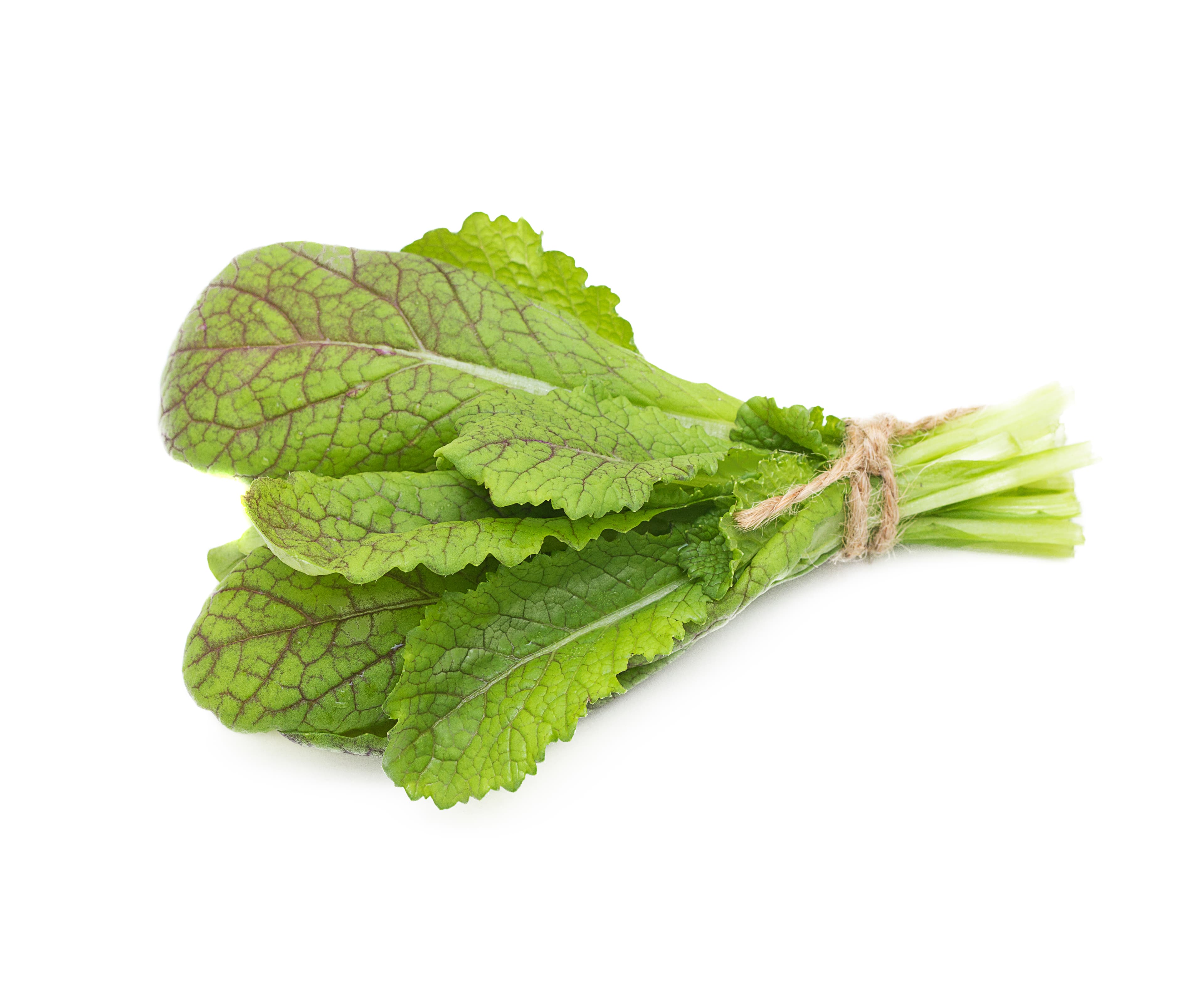 MUSTARD LEAF (ALLERGEN)