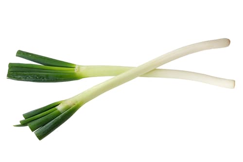 LEEKS THIN