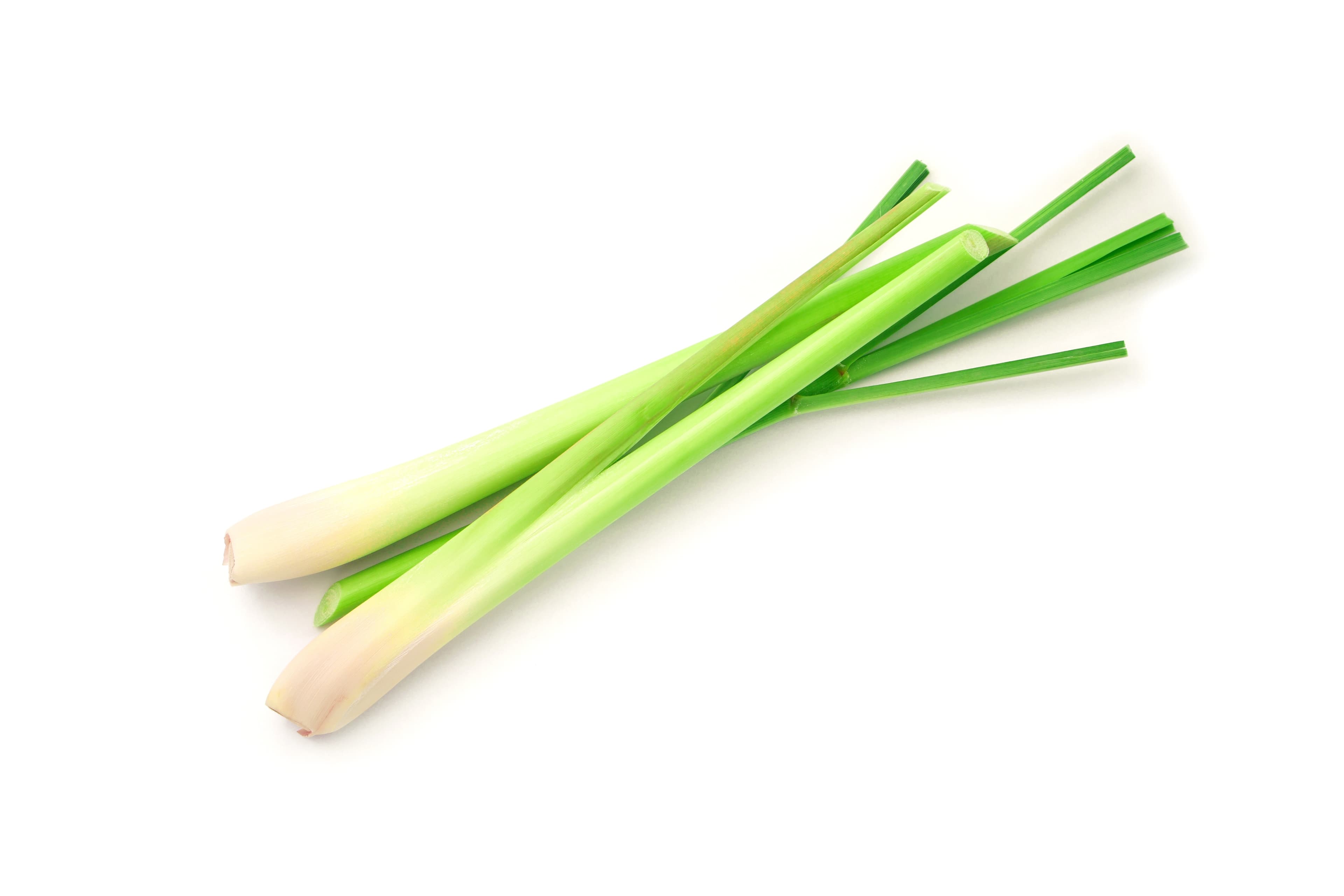 LEMONGRASS BUNCH
