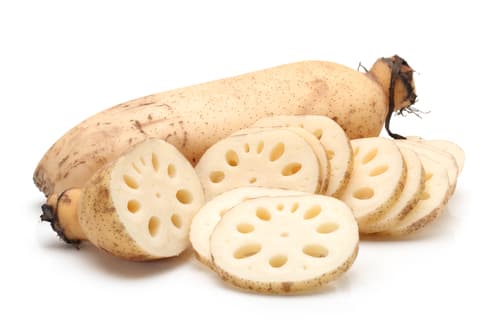 LOTUS ROOT