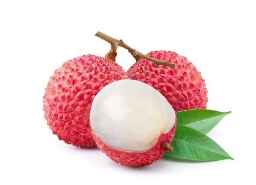 LYCHEE