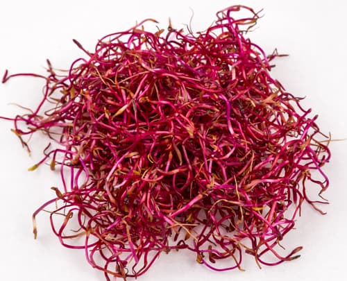 BEETROOT SPROUTS PUNNETS