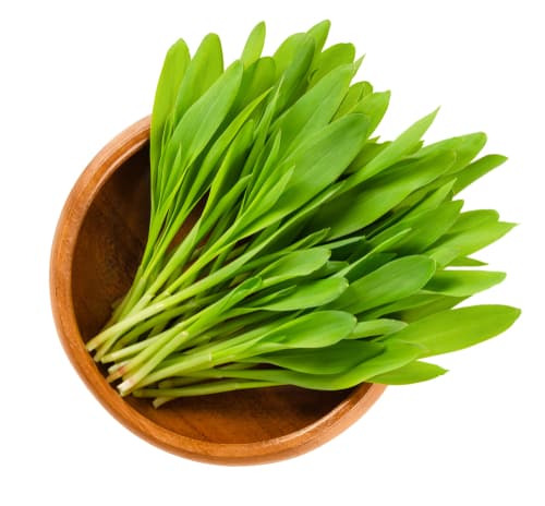 MICRO POPCORN SHOOTS