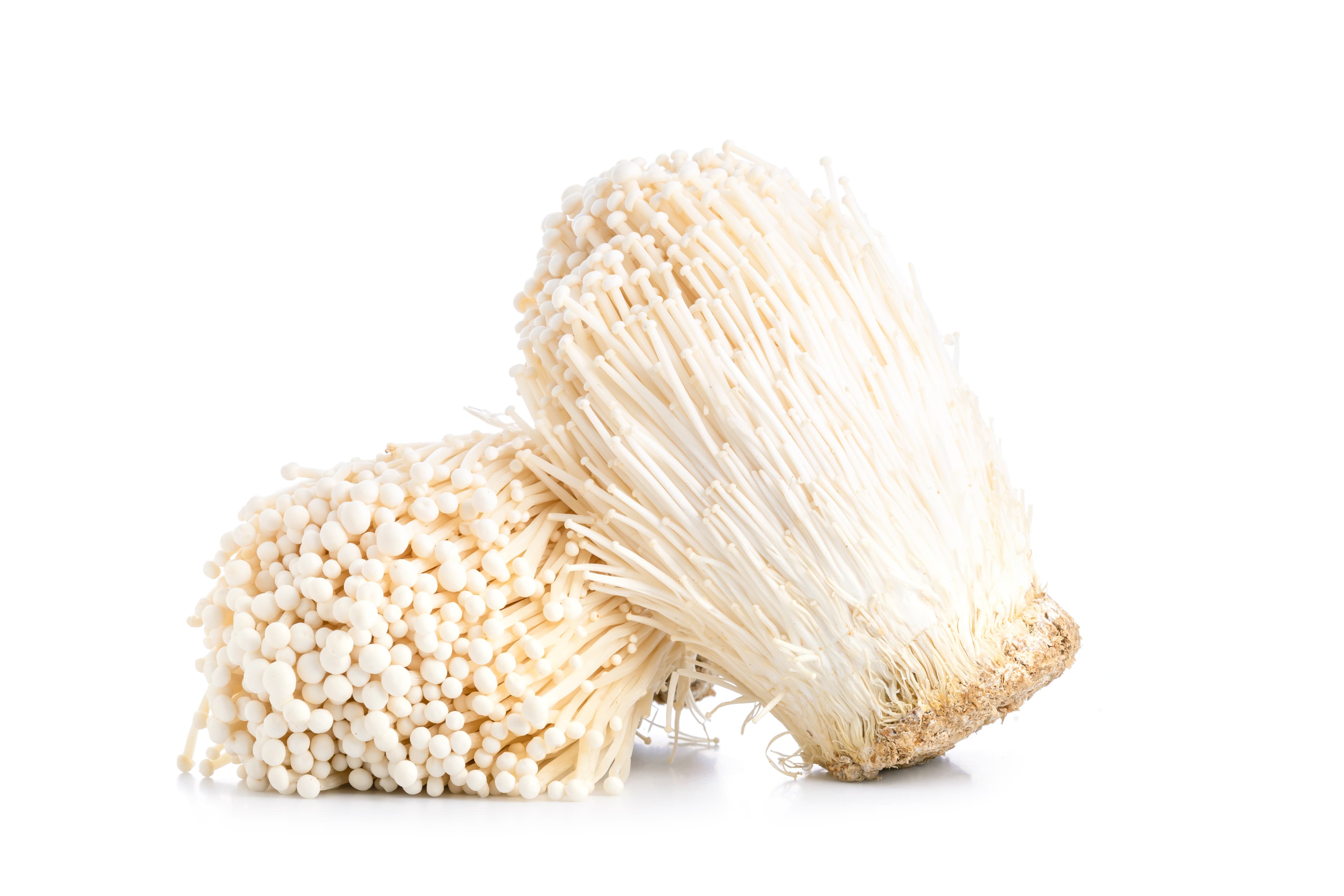 MUSHROOM ENOKI 100G