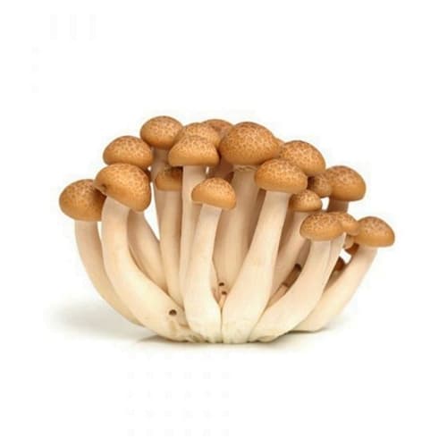 MUSHROOM BROWN SHIMEJI X150G